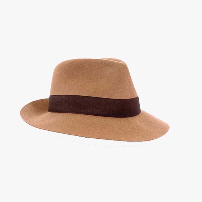 hat